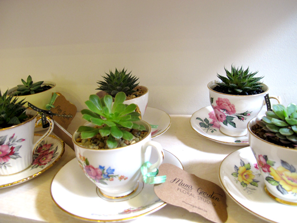 Mum's Garden tea cup succulents