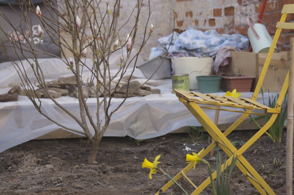 backyard, Hamilton