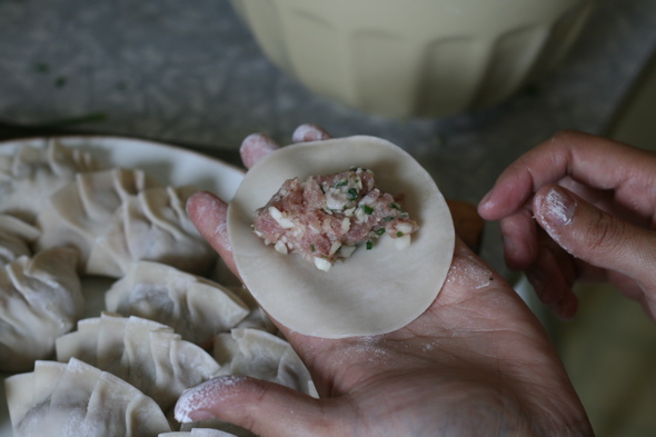  japanese food, homemade gyoza, dill, chives, garlic scapes, pork dumplings