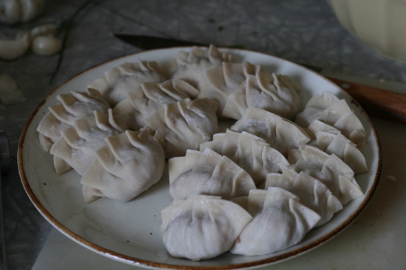  japanese food, homemade gyoza, dill, chives, garlic scapes, pork dumplings