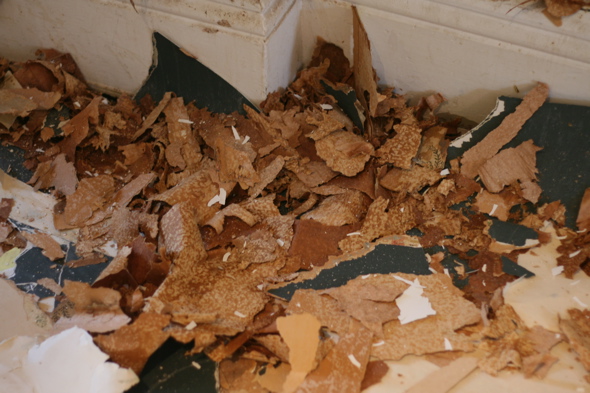 stripping wallpaper, 100 year old wallpaper, home renovations