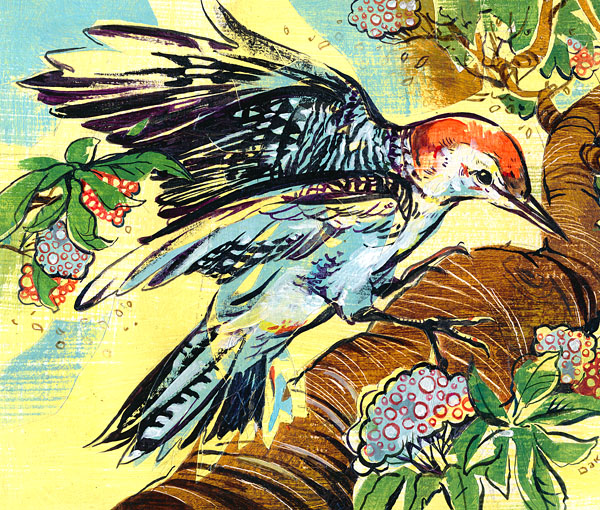Jacqui Oakley, illustrator