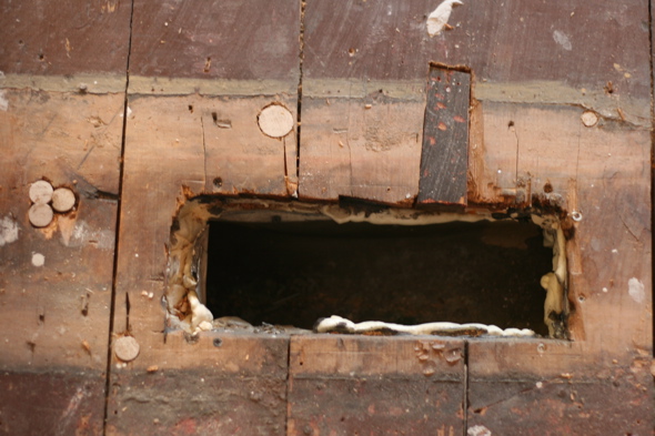 100 year old pine plank floors
