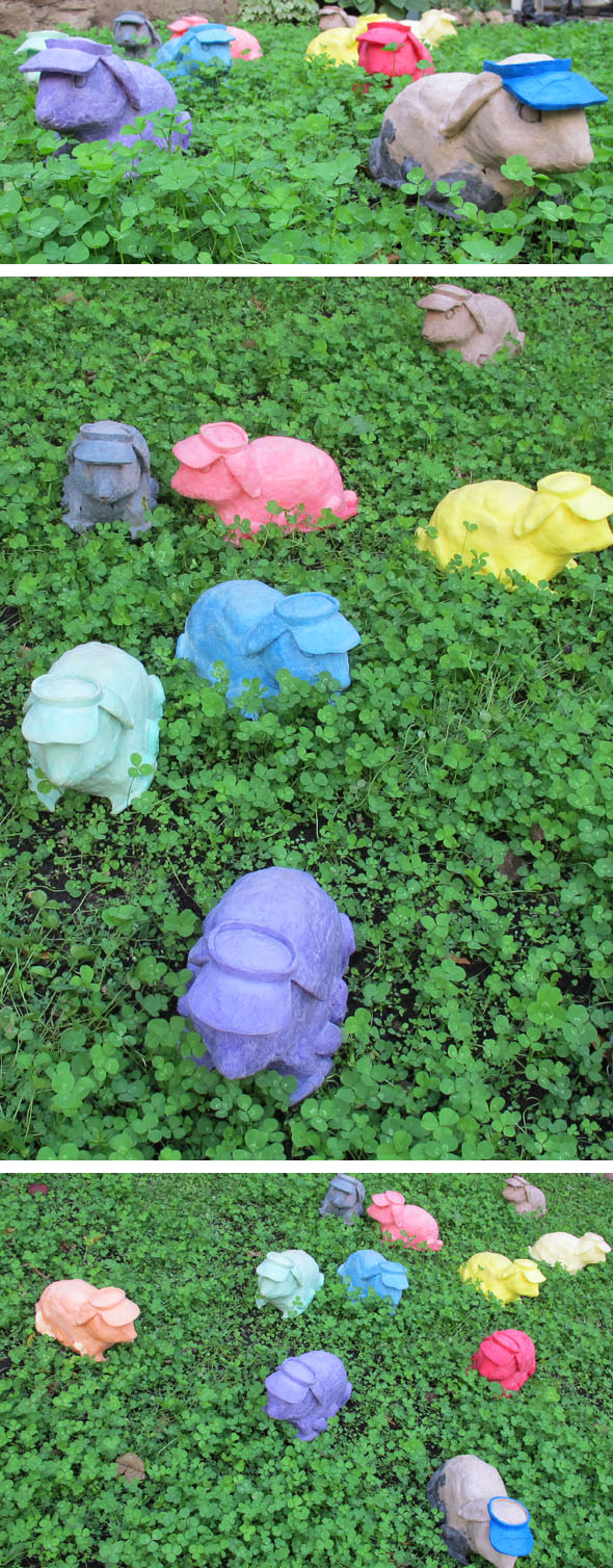 Steve Newberry, art installation, rabbits, clover