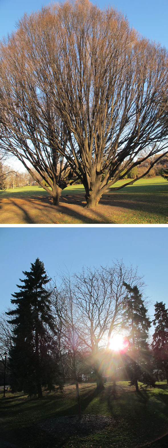 Gaige Park, Hamilton