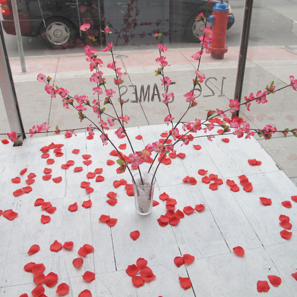 hawk & sparrow, window display
