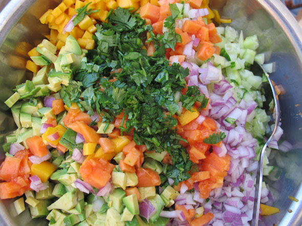 mango salsa homemade