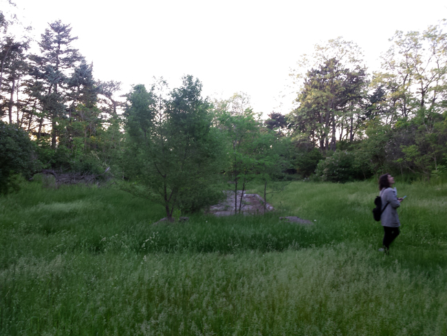 Hamilton Sunken Garden/Memorial Garden